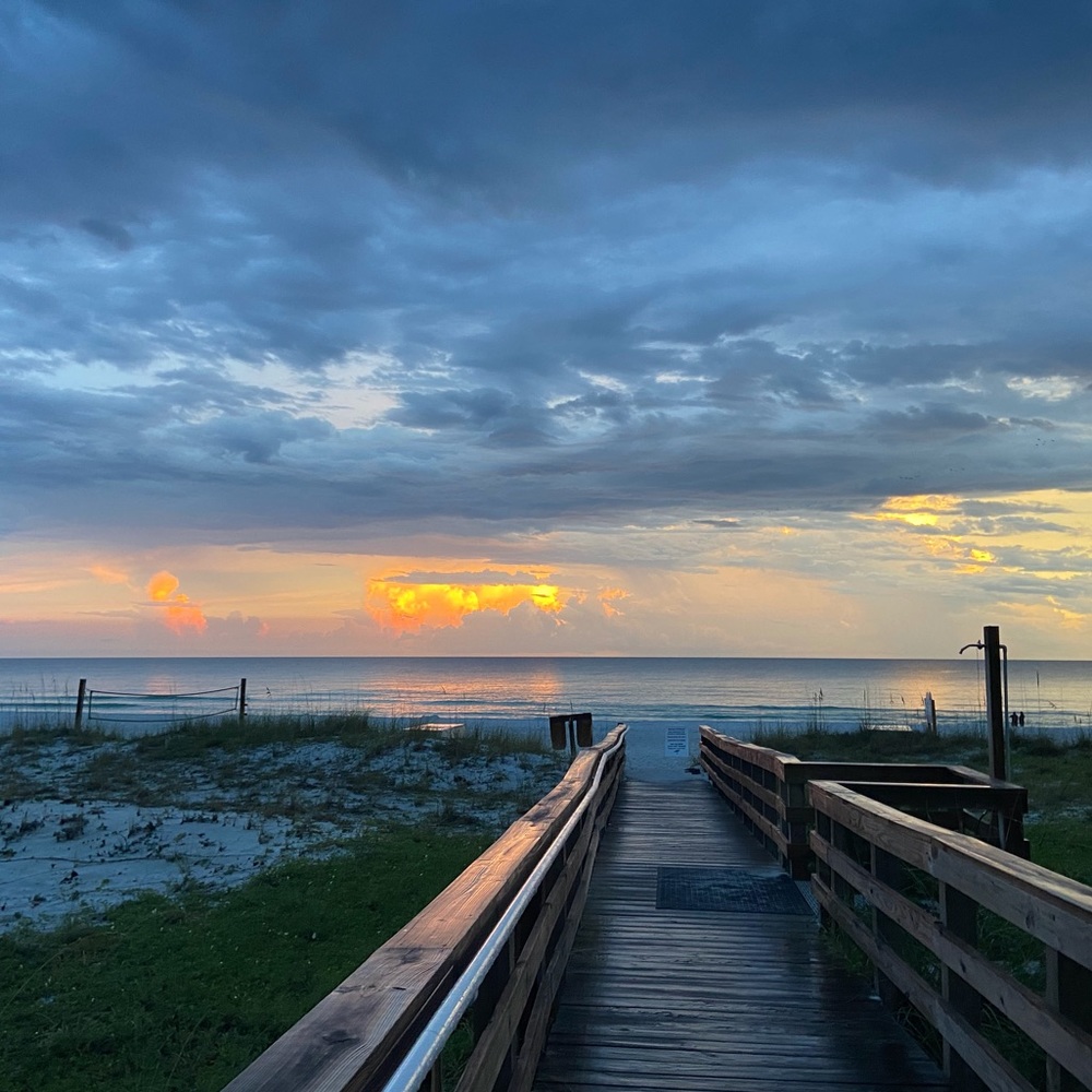 Meet your Posher, Sadie